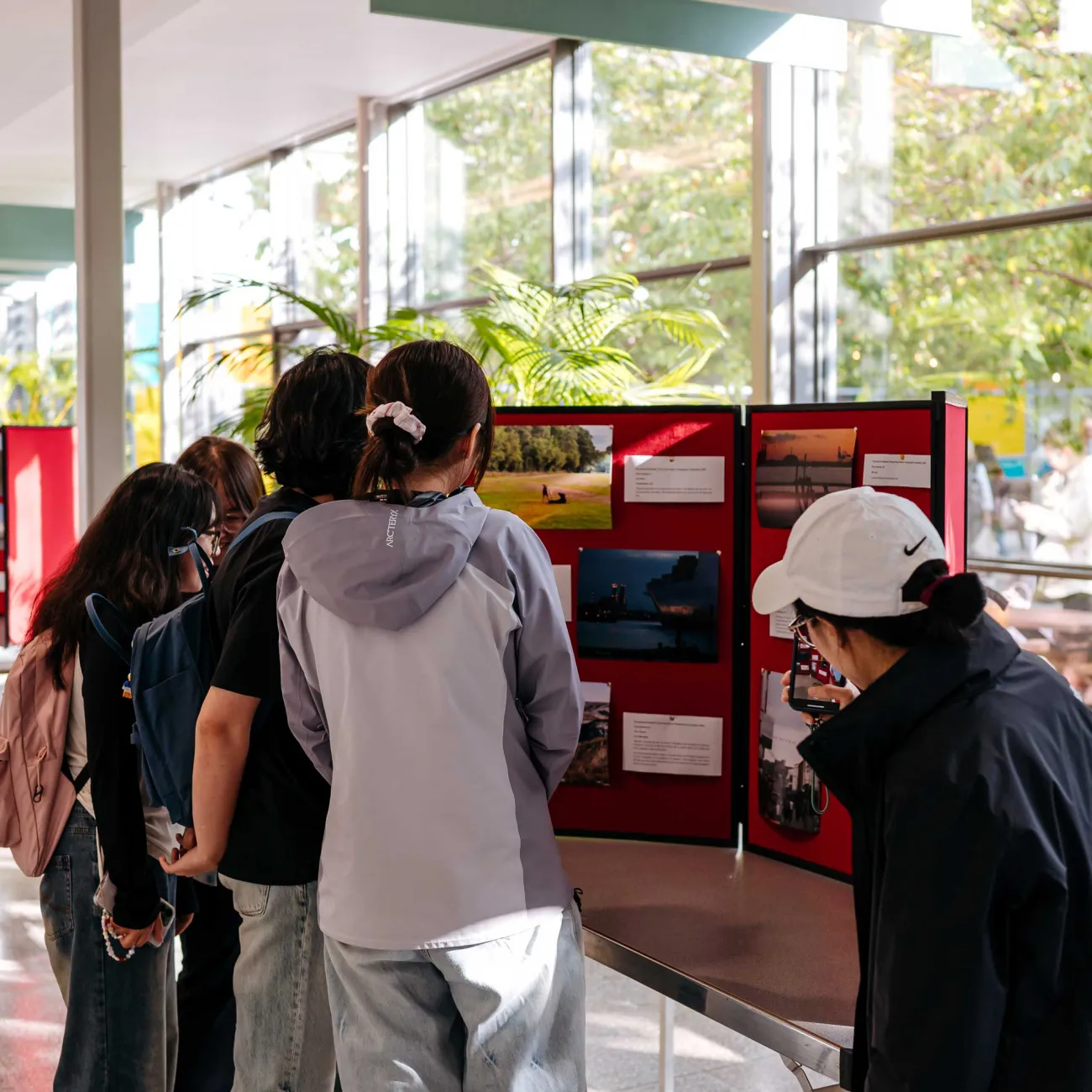 Students looking at board of photos